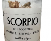 Scorpio Zodiac Candle